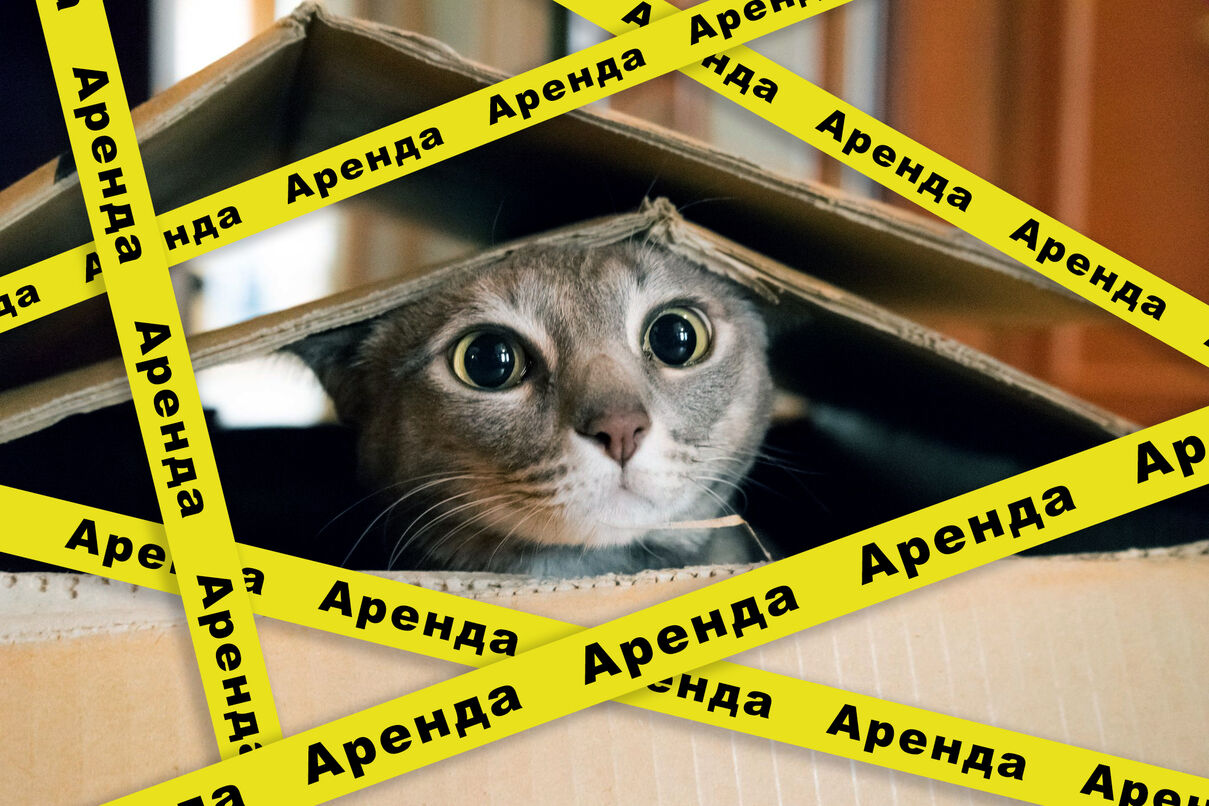 Аренда жилья в Беларуси. 7 актуальных проблем.